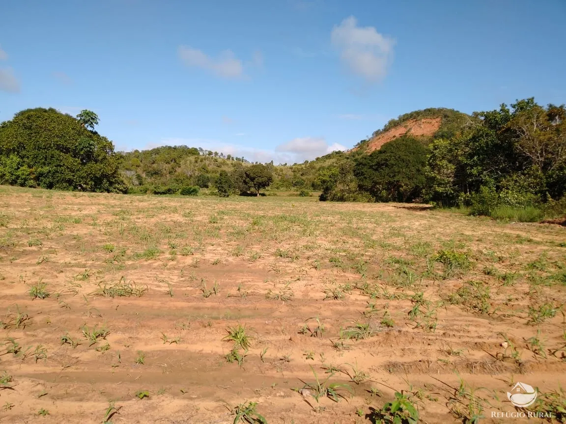 Fazenda à venda de 19.819 ha em Paraíso do Tocantins, TO, Brasil