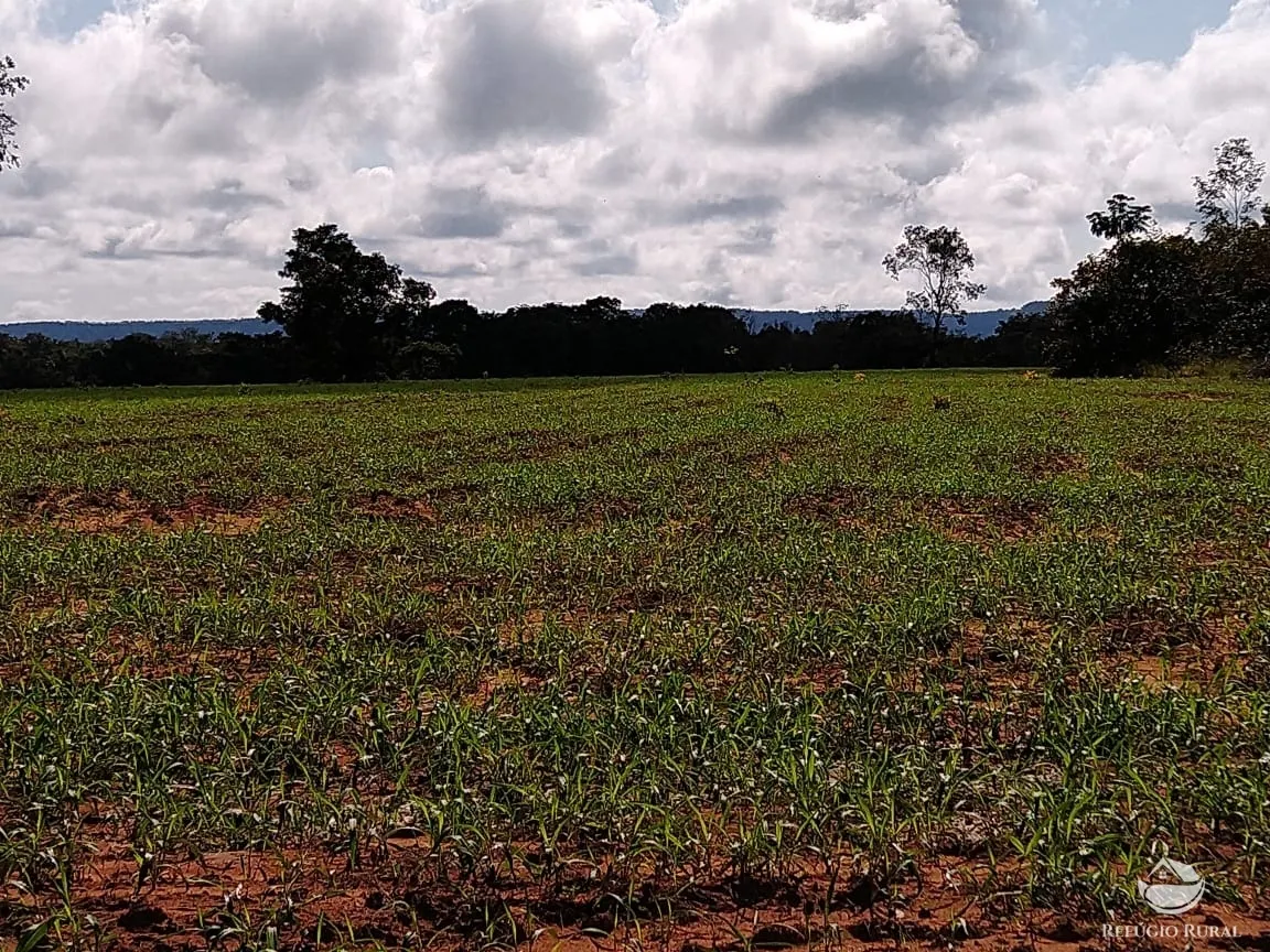 Fazenda à venda de 19.819 ha em Paraíso do Tocantins, TO, Brasil