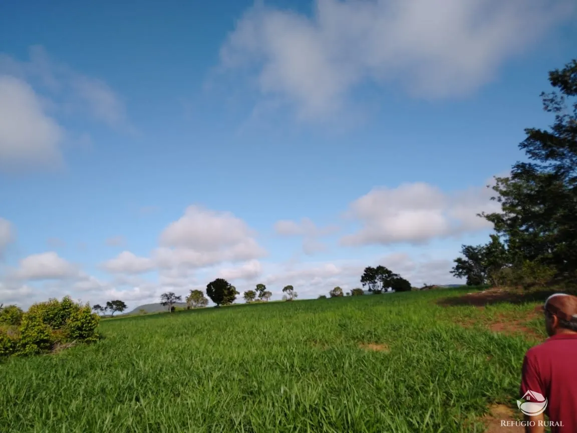 Fazenda à venda de 19.819 ha em Paraíso do Tocantins, TO, Brasil