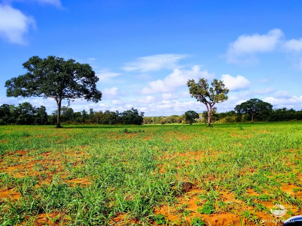 Fazenda à venda de 19.819 ha em Paraíso do Tocantins, TO, Brasil