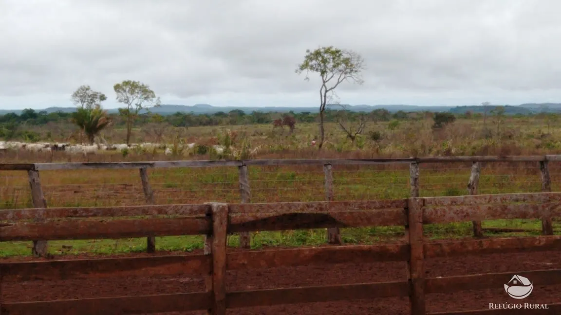Fazenda à venda de 19.819 ha em Paraíso do Tocantins, TO, Brasil