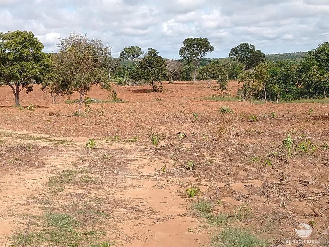 Fazenda à venda de 19.819 ha em Paraíso do Tocantins, TO, Brasil