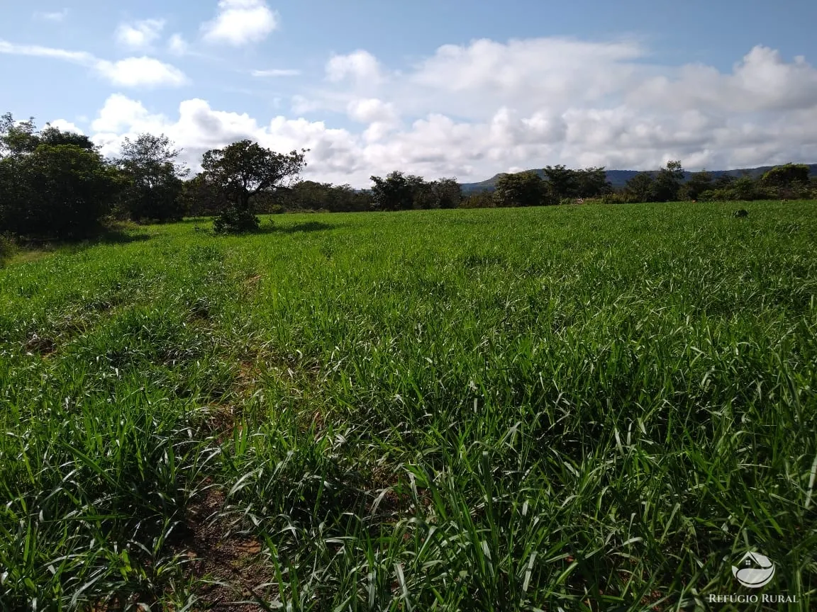 Fazenda à venda de 19.819 ha em Paraíso do Tocantins, TO, Brasil