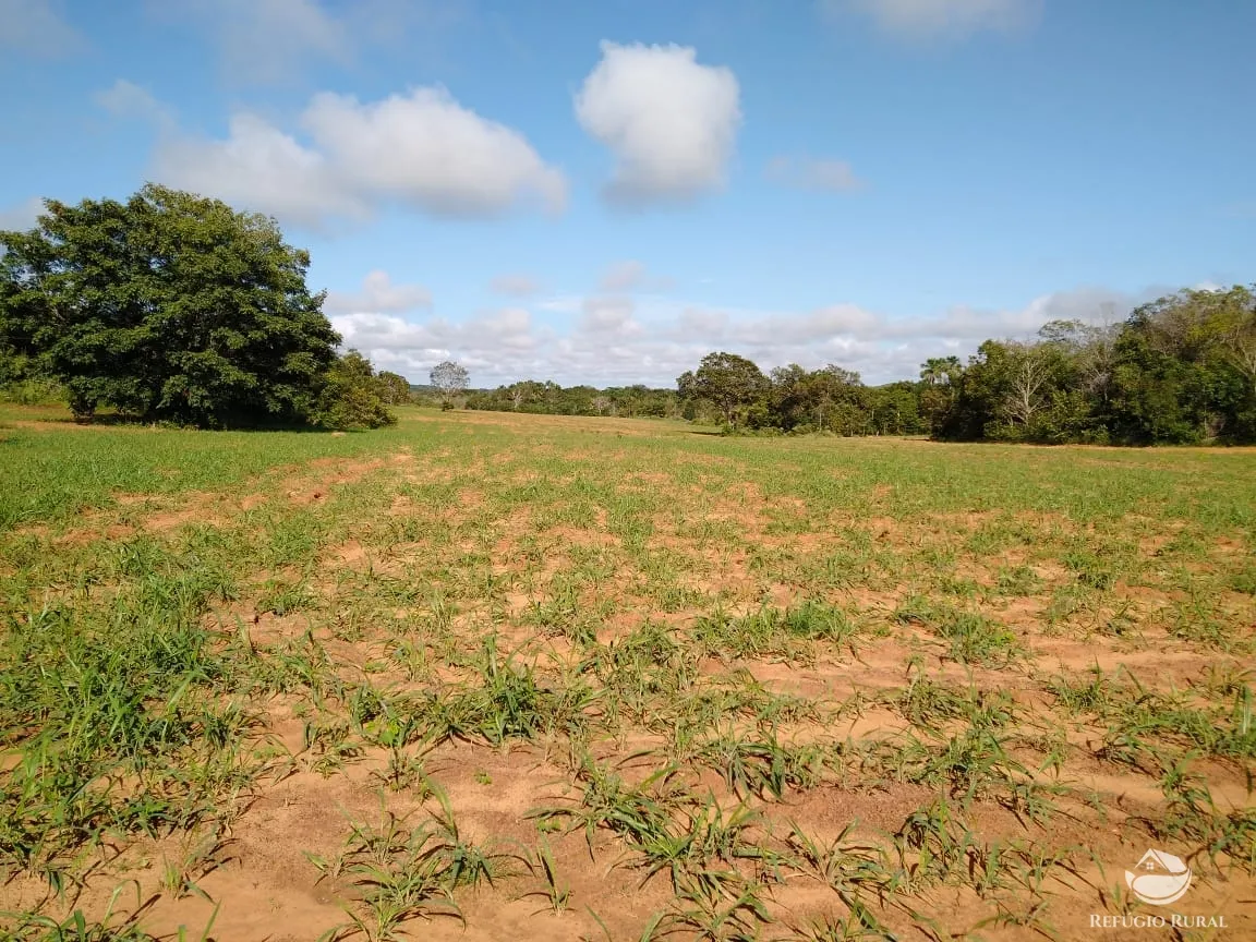 Fazenda à venda de 19.819 ha em Paraíso do Tocantins, TO, Brasil