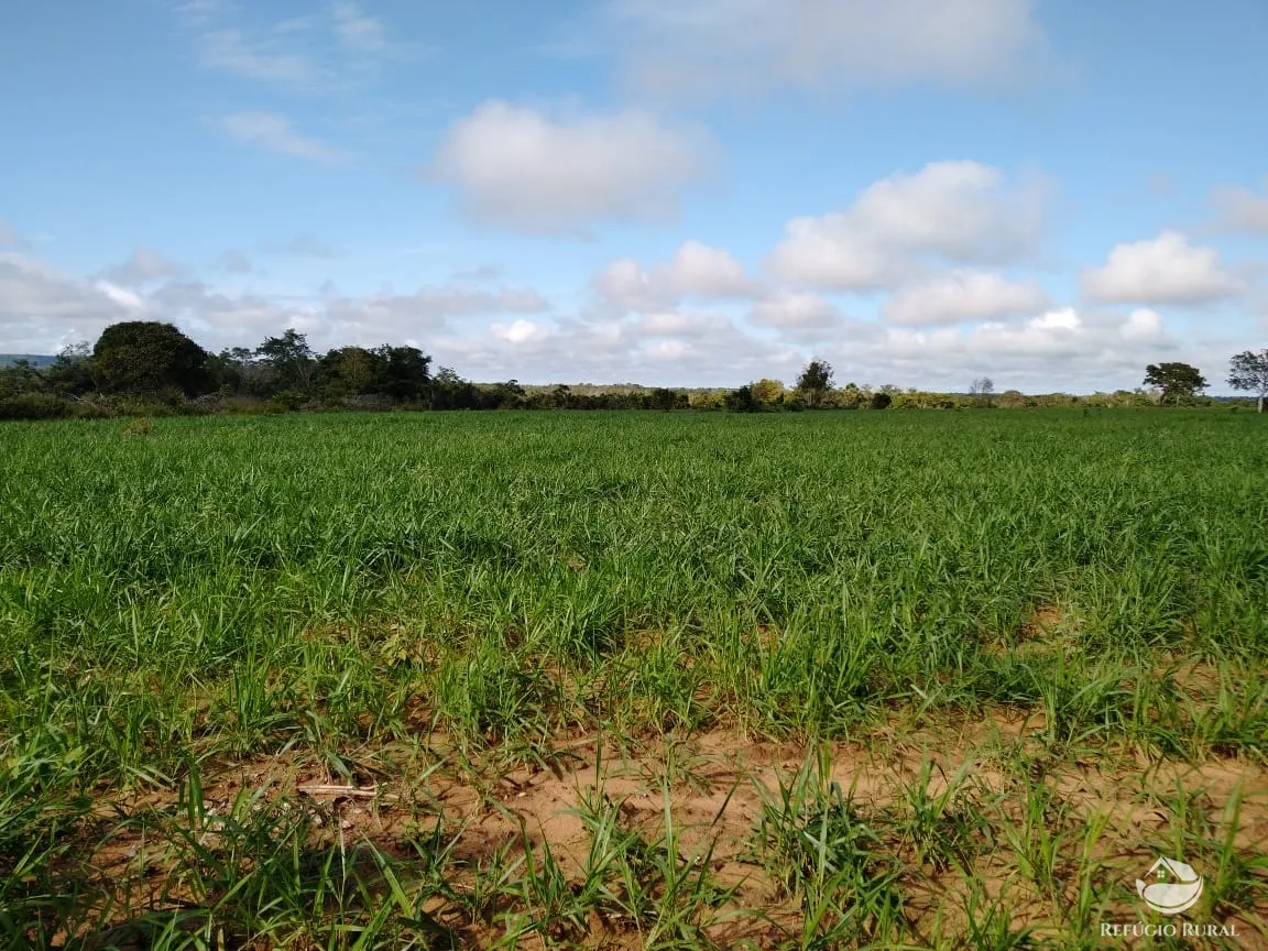 Fazenda à venda de 19.819 ha em Paraíso do Tocantins, TO, Brasil