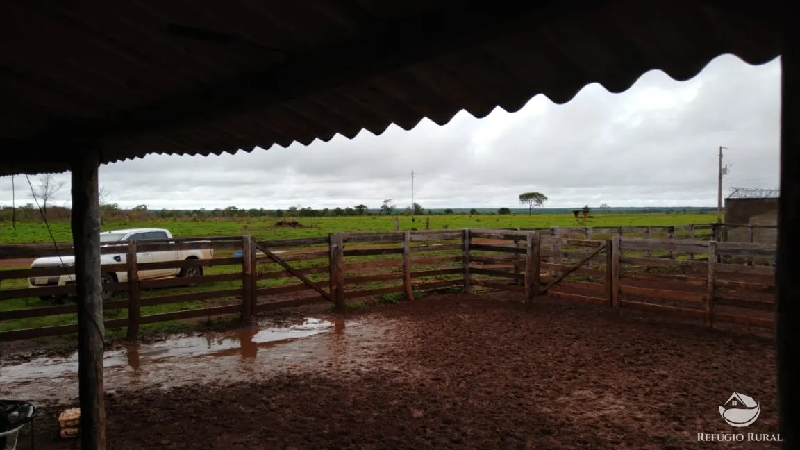 Fazenda à venda de 19.819 ha em Paraíso do Tocantins, TO, Brasil