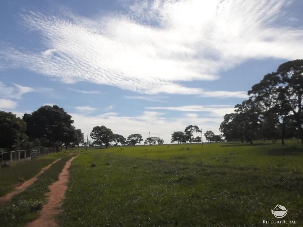 Sítio à venda de 6 ha em Fronteira, MG, Brasil