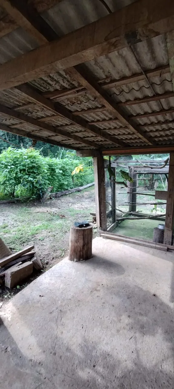 Country home for sale and to rent of 3 acres in Jambeiro, SP, Brazil
