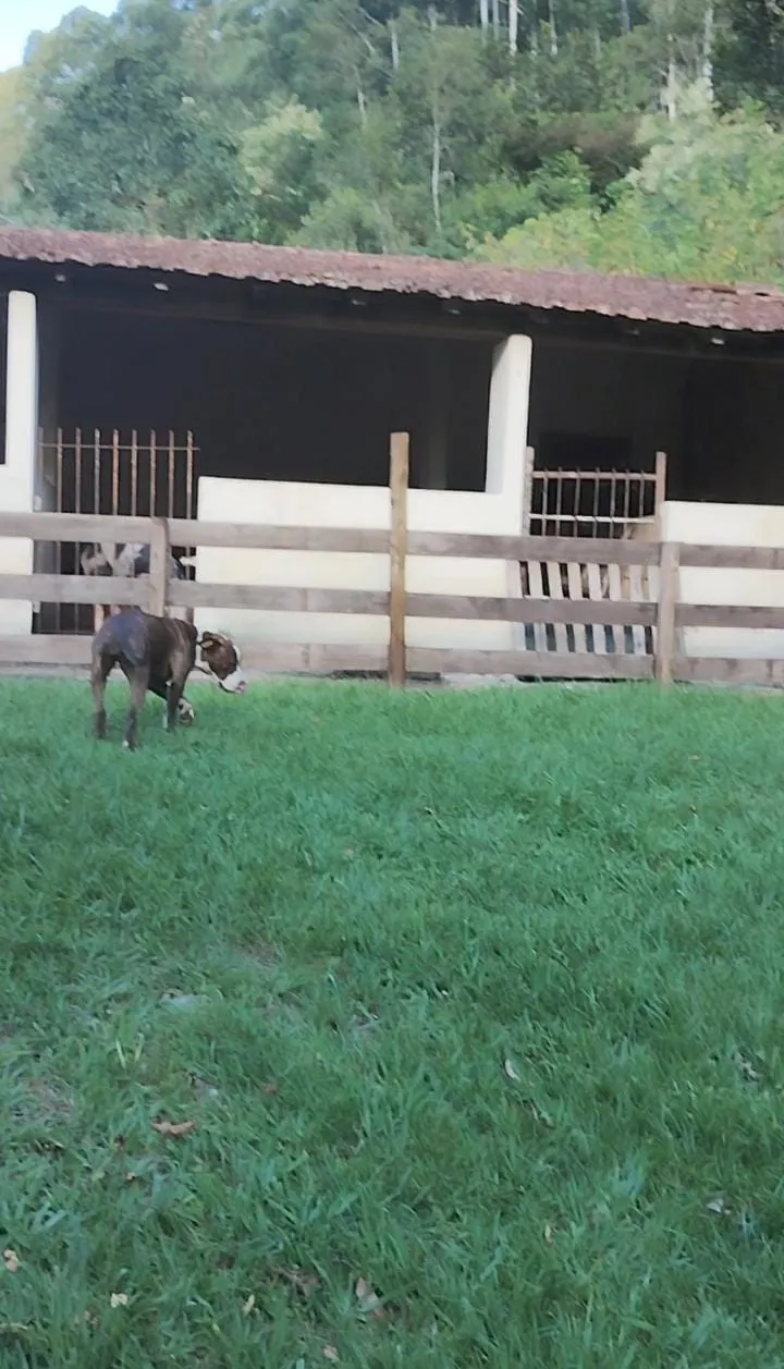 Country home for sale and to rent of 3 acres in Jambeiro, SP, Brazil
