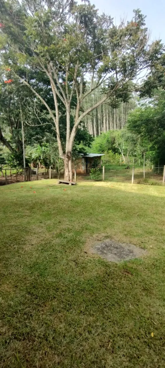 Country home for sale and to rent of 3 acres in Jambeiro, SP, Brazil