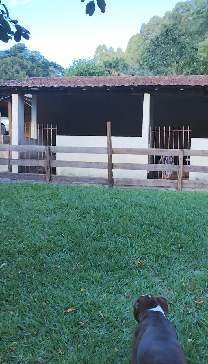 Country home for sale and to rent of 3 acres in Jambeiro, SP, Brazil
