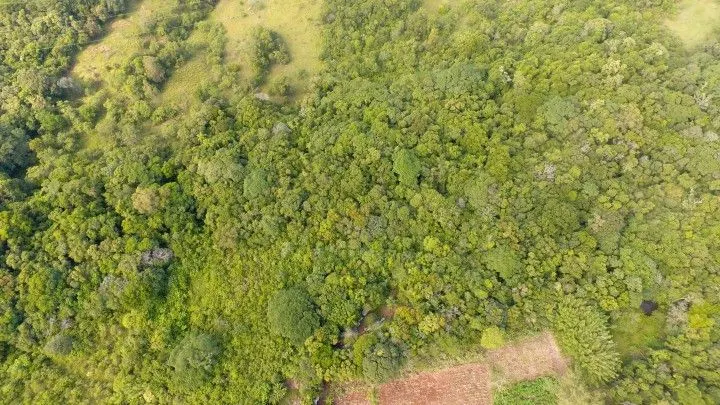 Country home for sale of 4 acres in Osório, RS, Brazil