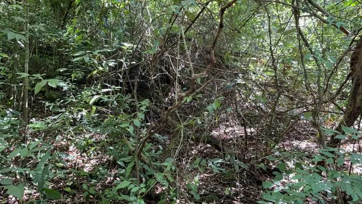 Country home for sale of 4 acres in Osório, RS, Brazil