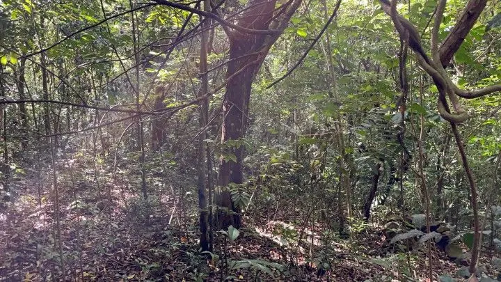 Country home for sale of 4 acres in Osório, RS, Brazil