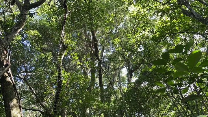 Country home for sale of 4 acres in Osório, RS, Brazil