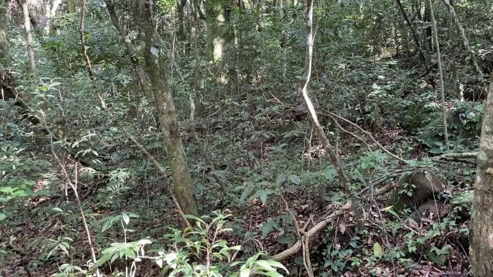 Country home for sale of 4 acres in Osório, RS, Brazil