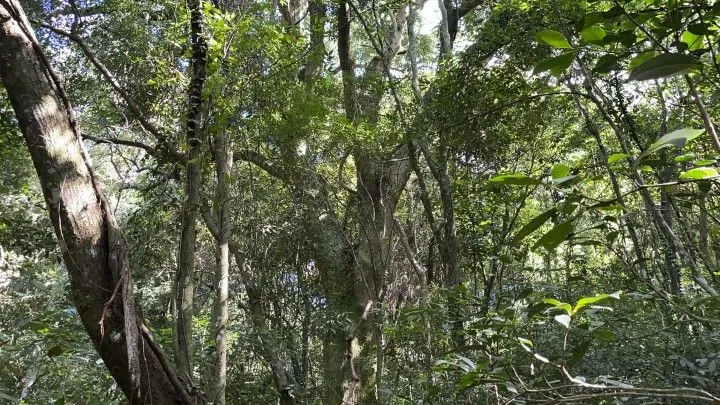 Country home for sale of 4 acres in Osório, RS, Brazil