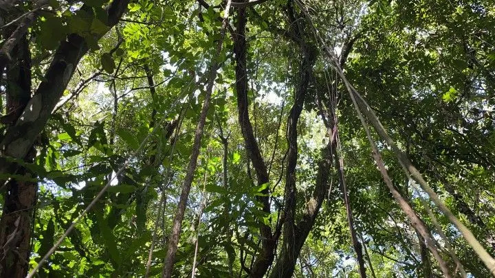 Country home for sale of 4 acres in Osório, RS, Brazil