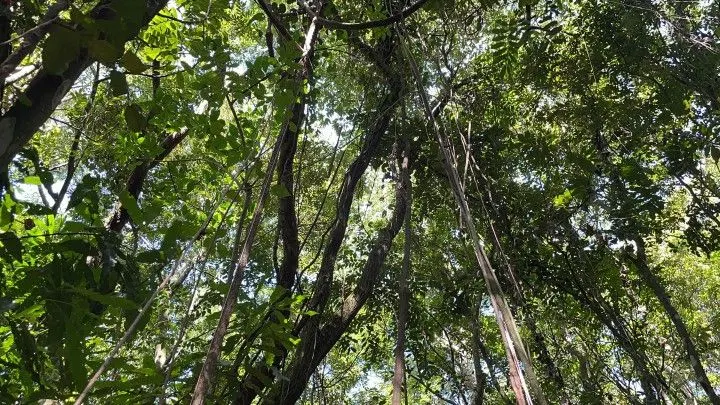 Country home for sale of 4 acres in Osório, RS, Brazil