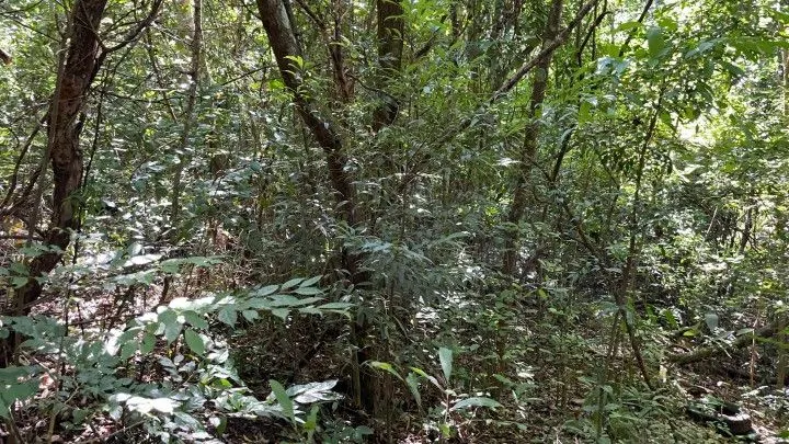 Country home for sale of 4 acres in Osório, RS, Brazil