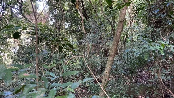 Country home for sale of 4 acres in Osório, RS, Brazil