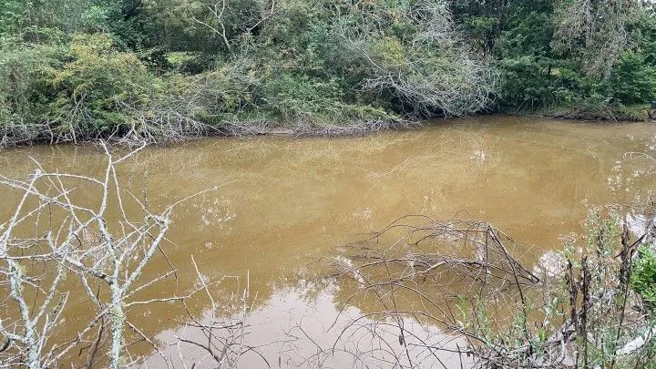 Sítio à venda de 10 ha em Rolante, RS, Brasil