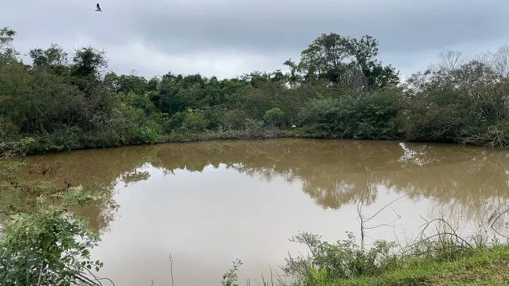 Sítio à venda de 10 ha em Rolante, RS, Brasil