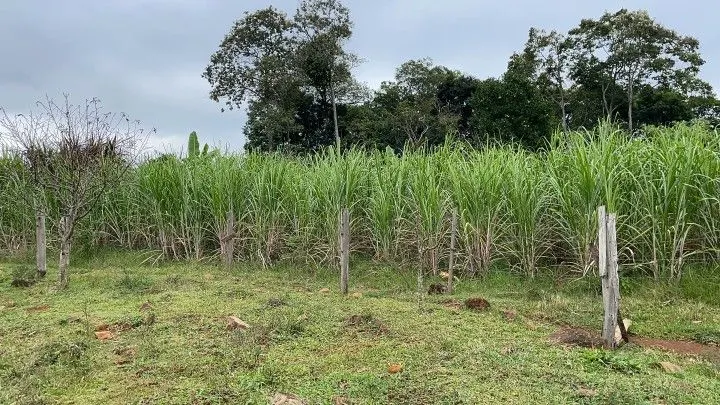 Sítio à venda de 10 ha em Rolante, RS, Brasil