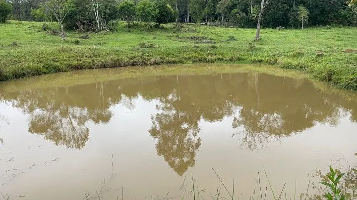Sítio à venda de 10 ha em Rolante, RS, Brasil