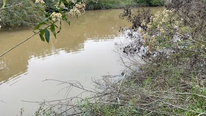 Sítio à venda de 10 ha em Rolante, RS, Brasil