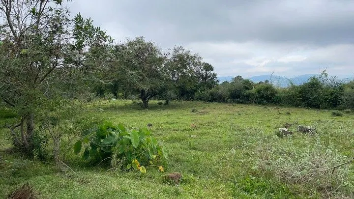 Sítio à venda de 10 ha em Rolante, RS, Brasil