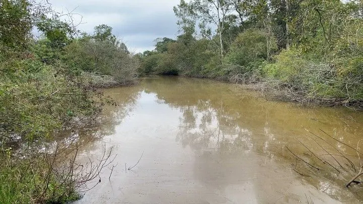 Sítio à venda de 10 ha em Rolante, RS, Brasil