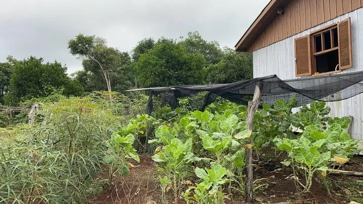 Sítio à venda de 10 ha em Rolante, RS, Brasil