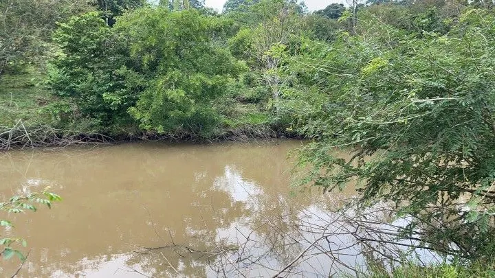 Sítio à venda de 10 ha em Rolante, RS, Brasil