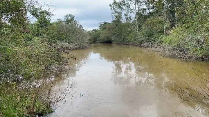Sítio à venda de 10 ha em Rolante, RS, Brasil