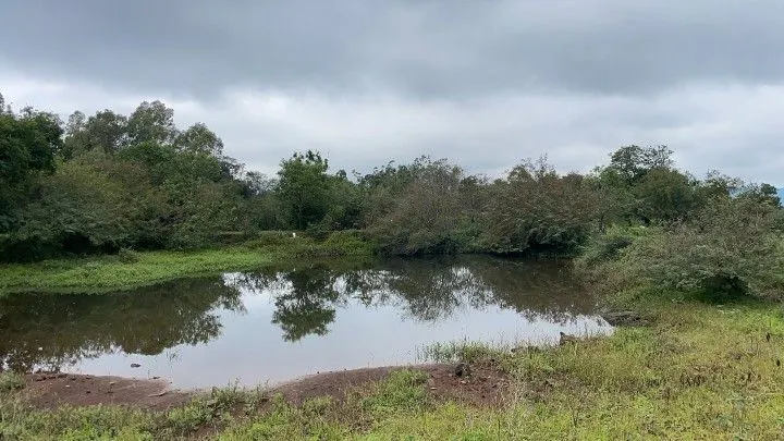 Sítio à venda de 10 ha em Rolante, RS, Brasil