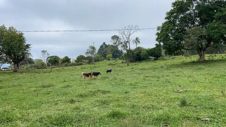 Sítio à venda de 10 ha em Rolante, RS, Brasil