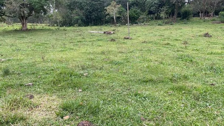 Sítio à venda de 10 ha em Rolante, RS, Brasil