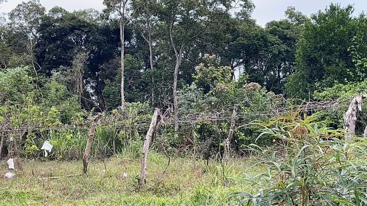 Sítio à venda de 10 ha em Rolante, RS, Brasil