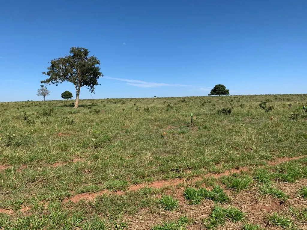 Plot for sale of 14 acres in Paulínia, SP, Brazil