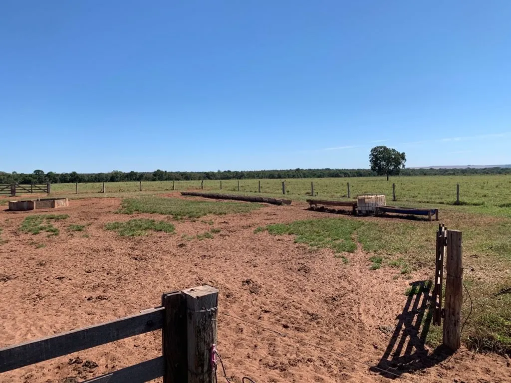 Plot for sale of 14 acres in Paulínia, SP, Brazil