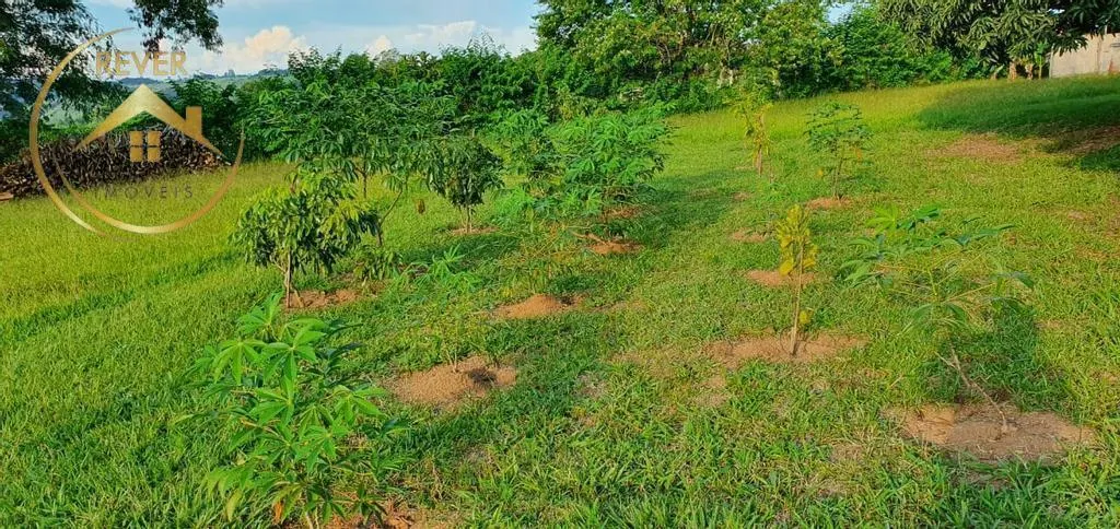 Small farm for sale of 10 acres in Campinas, SP, Brazil