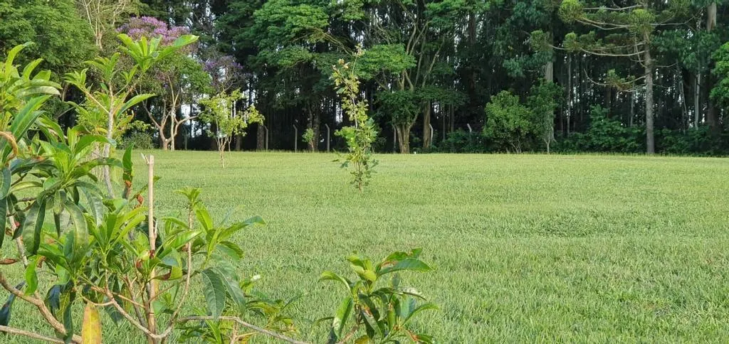 Small farm for sale of 10 acres in Campinas, SP, Brazil