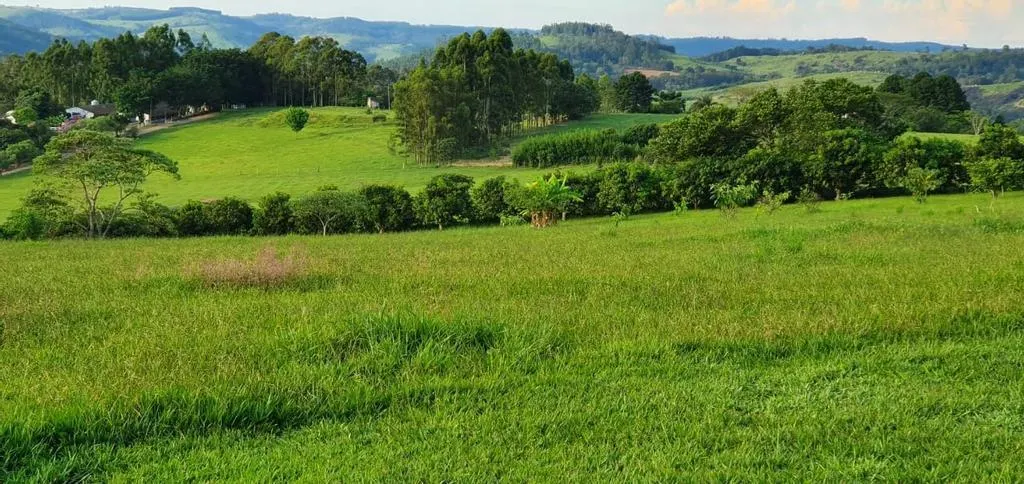 Small farm for sale of 10 acres in Campinas, SP, Brazil