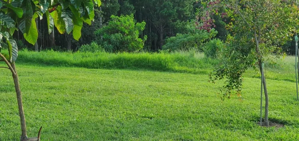 Small farm for sale of 10 acres in Campinas, SP, Brazil