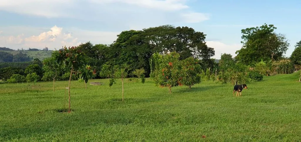 Small farm for sale of 10 acres in Campinas, SP, Brazil