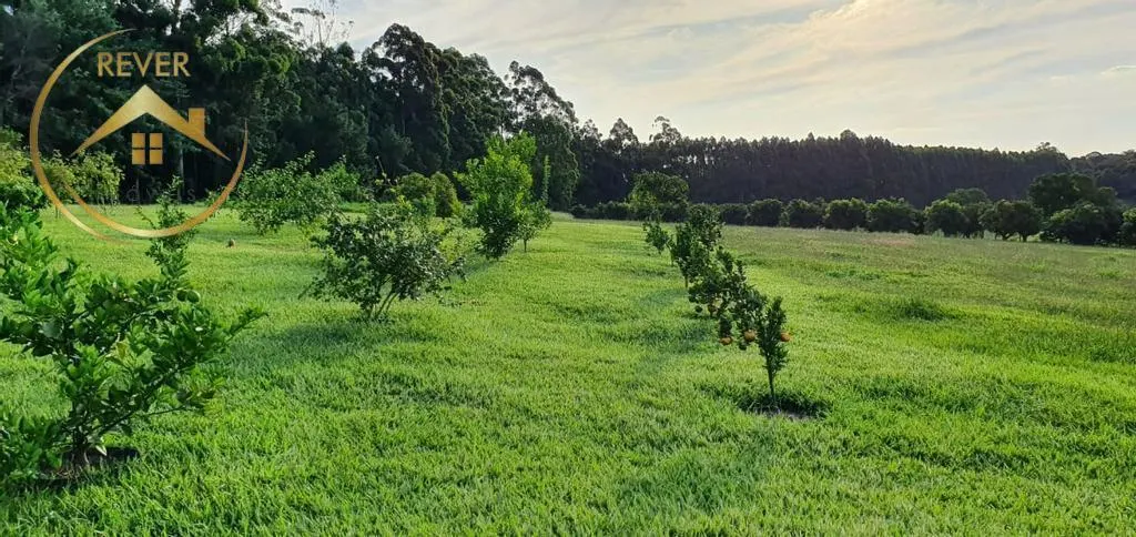 Small farm for sale of 10 acres in Campinas, SP, Brazil