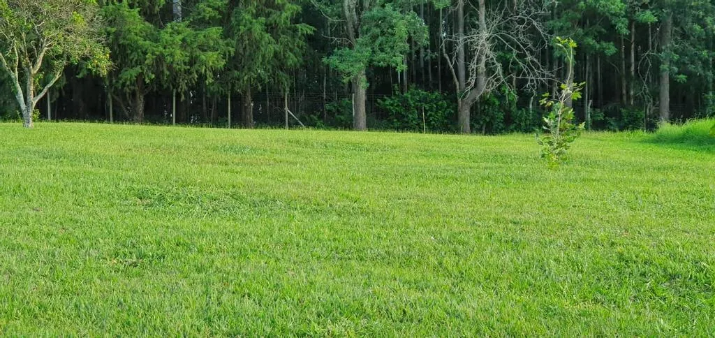 Small farm for sale of 10 acres in Campinas, SP, Brazil