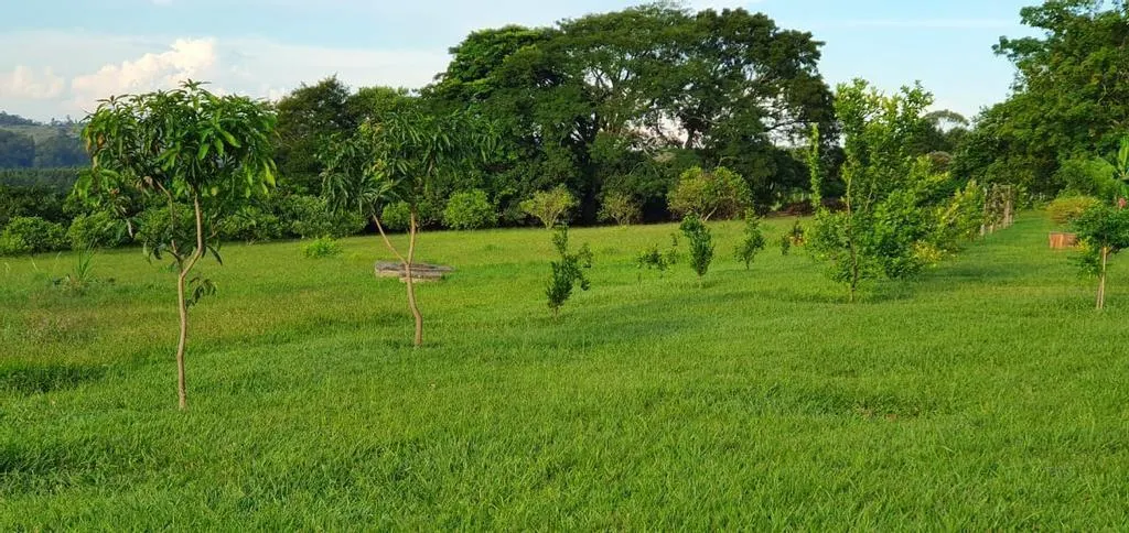 Small farm for sale of 10 acres in Campinas, SP, Brazil
