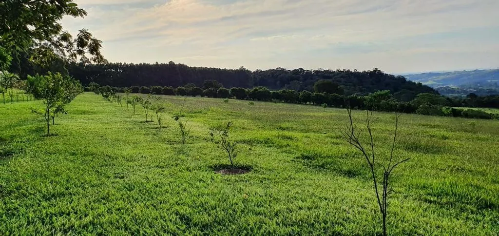 Small farm for sale of 10 acres in Campinas, SP, Brazil